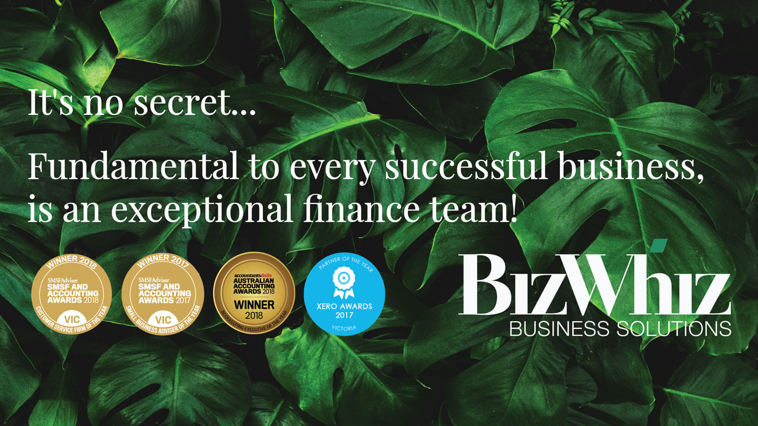 Biz Accounting Solutions Ltd